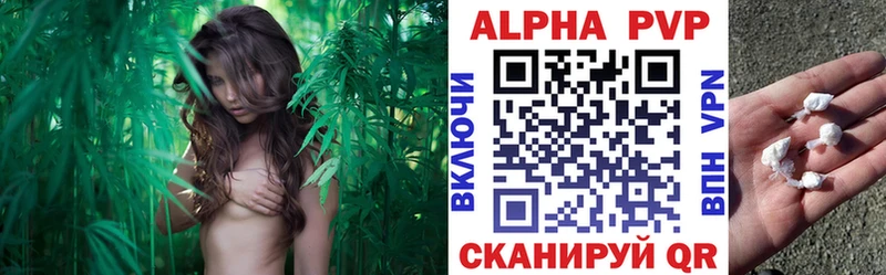 Купить Назарово A PVP СК КРИС