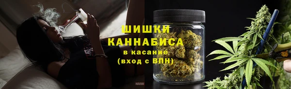 PSILOCYBIN Балабаново