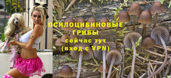 PSILOCYBIN Балабаново
